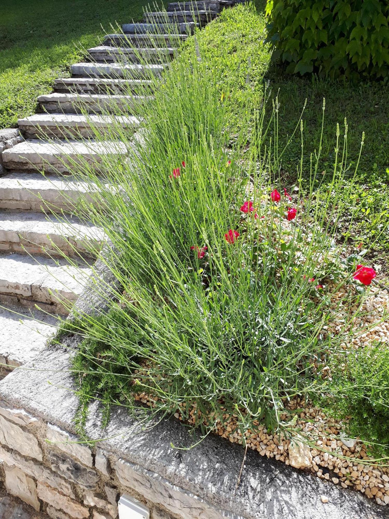 Ferienhaus In Tremosine Sul Garda Pieve  外观 照片